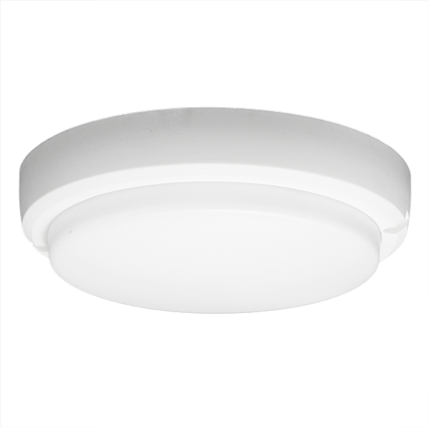 Tortuga Led