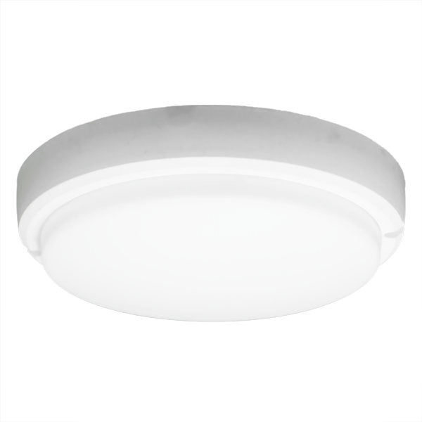 Tortuga Led